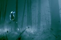 Fons Schiedon In A Forest