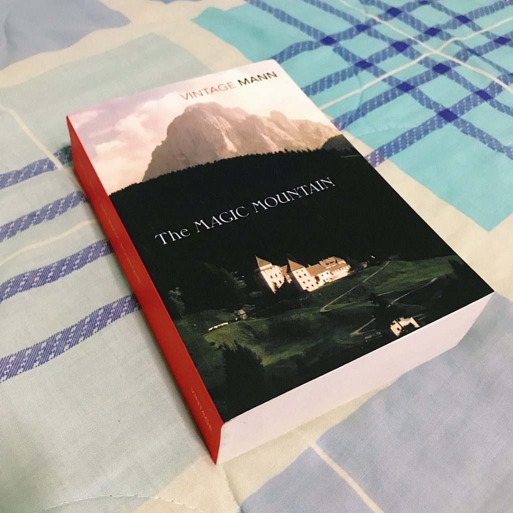 The Magic Mountain by Thomas Mann